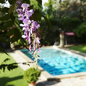 Otel Park Palace