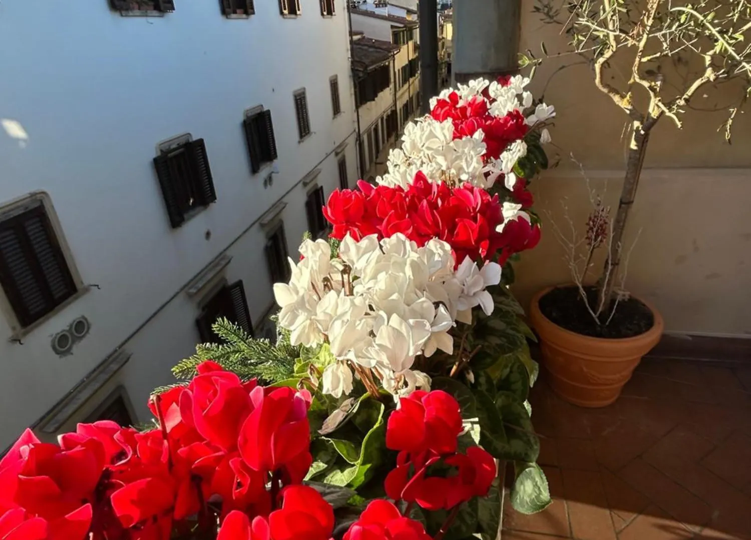 Hotel Botticelli Florence