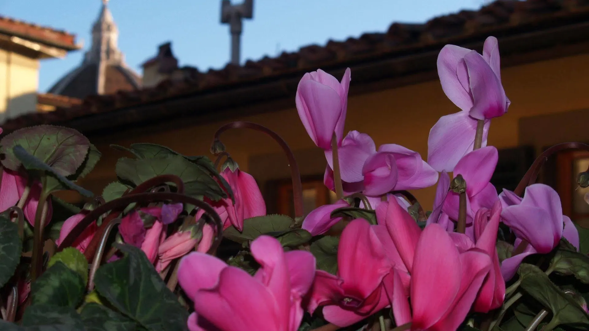 Hotel Botticelli Florence 4*,